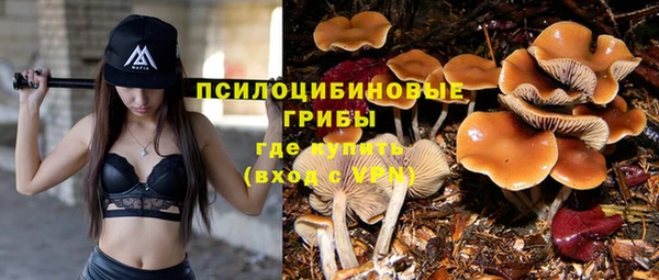 мескалин Зеленокумск