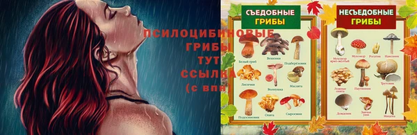 мескалин Зеленокумск