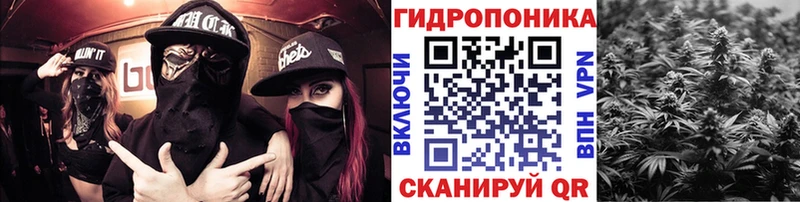 Каннабис конопля Инта